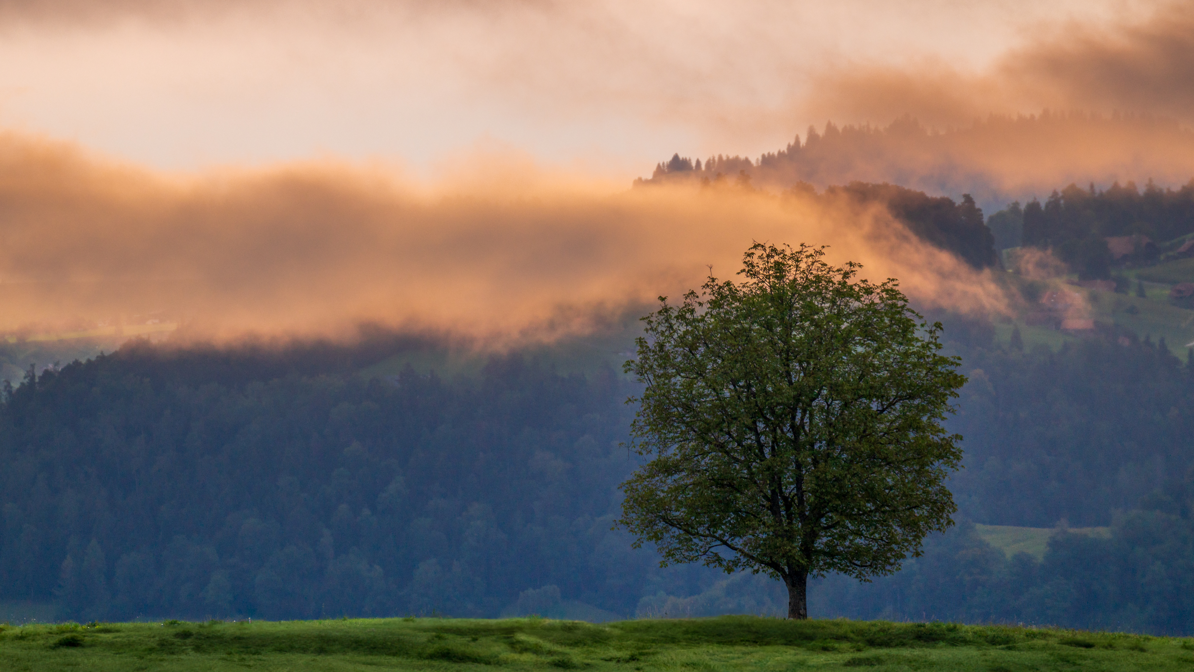 Landscape (2)