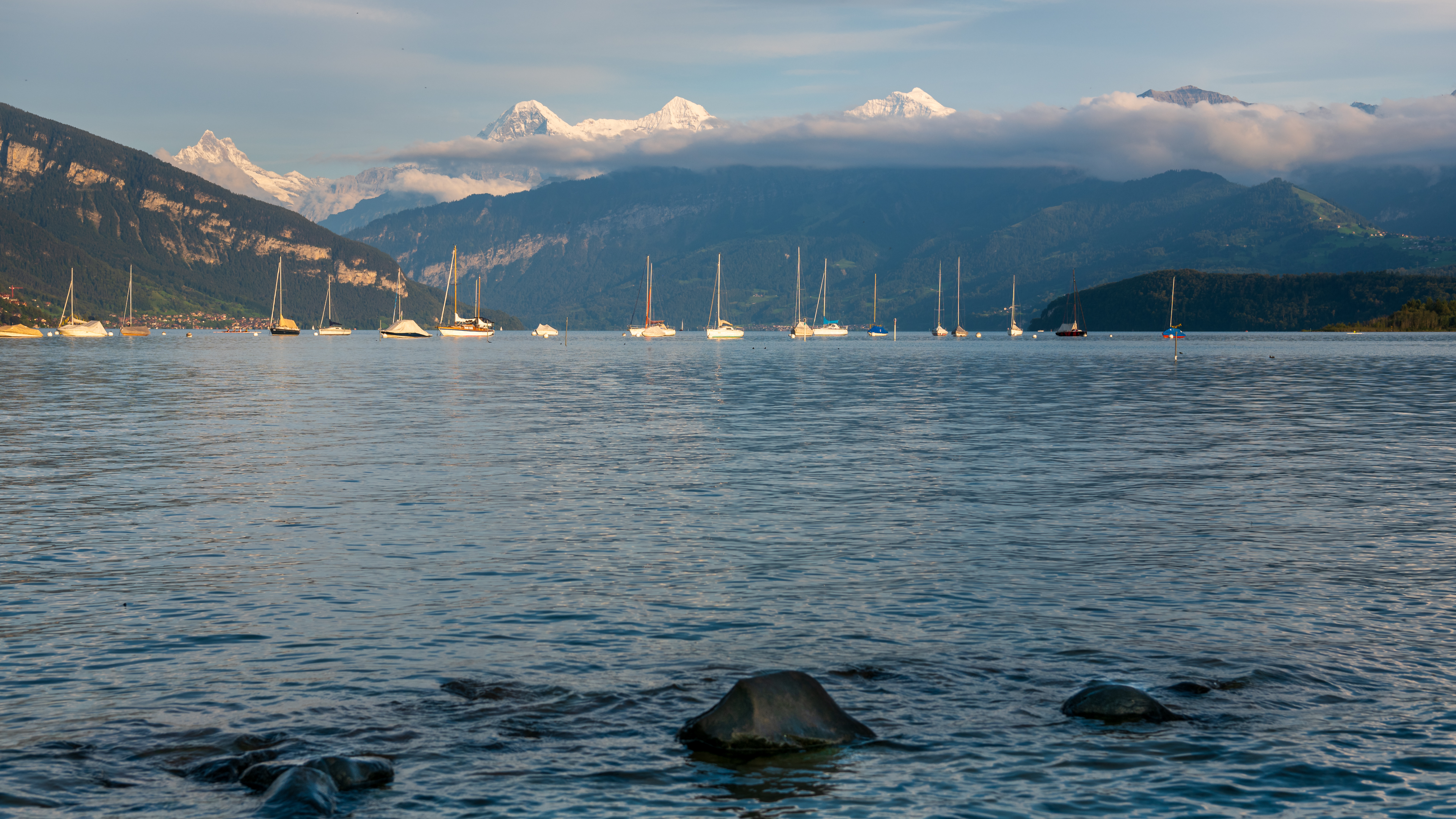 Landscape (4)
