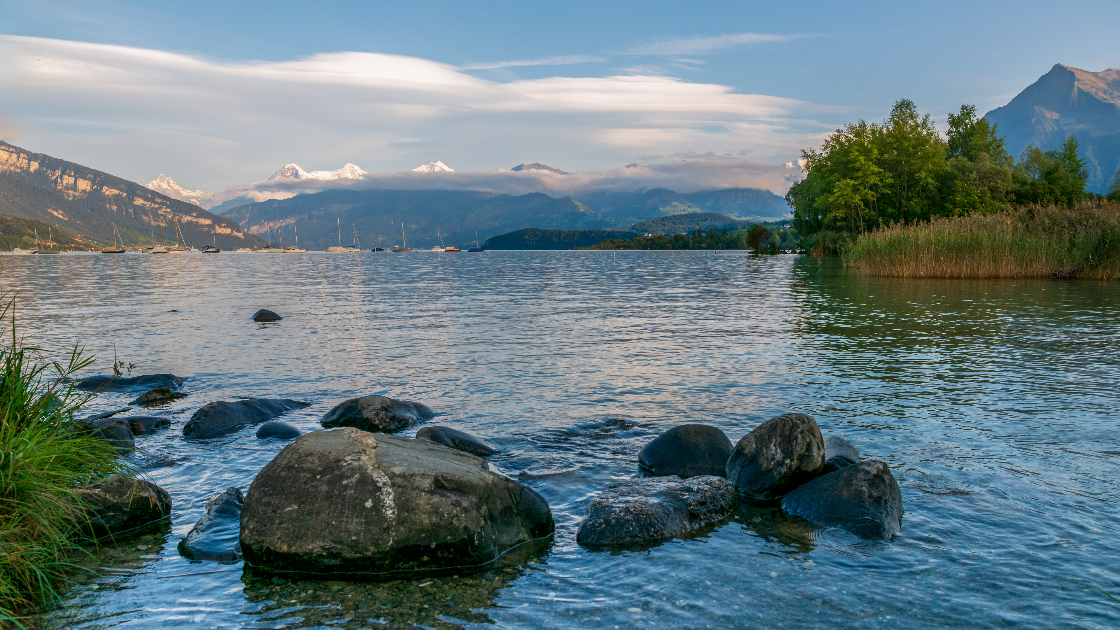 Landscape (5)