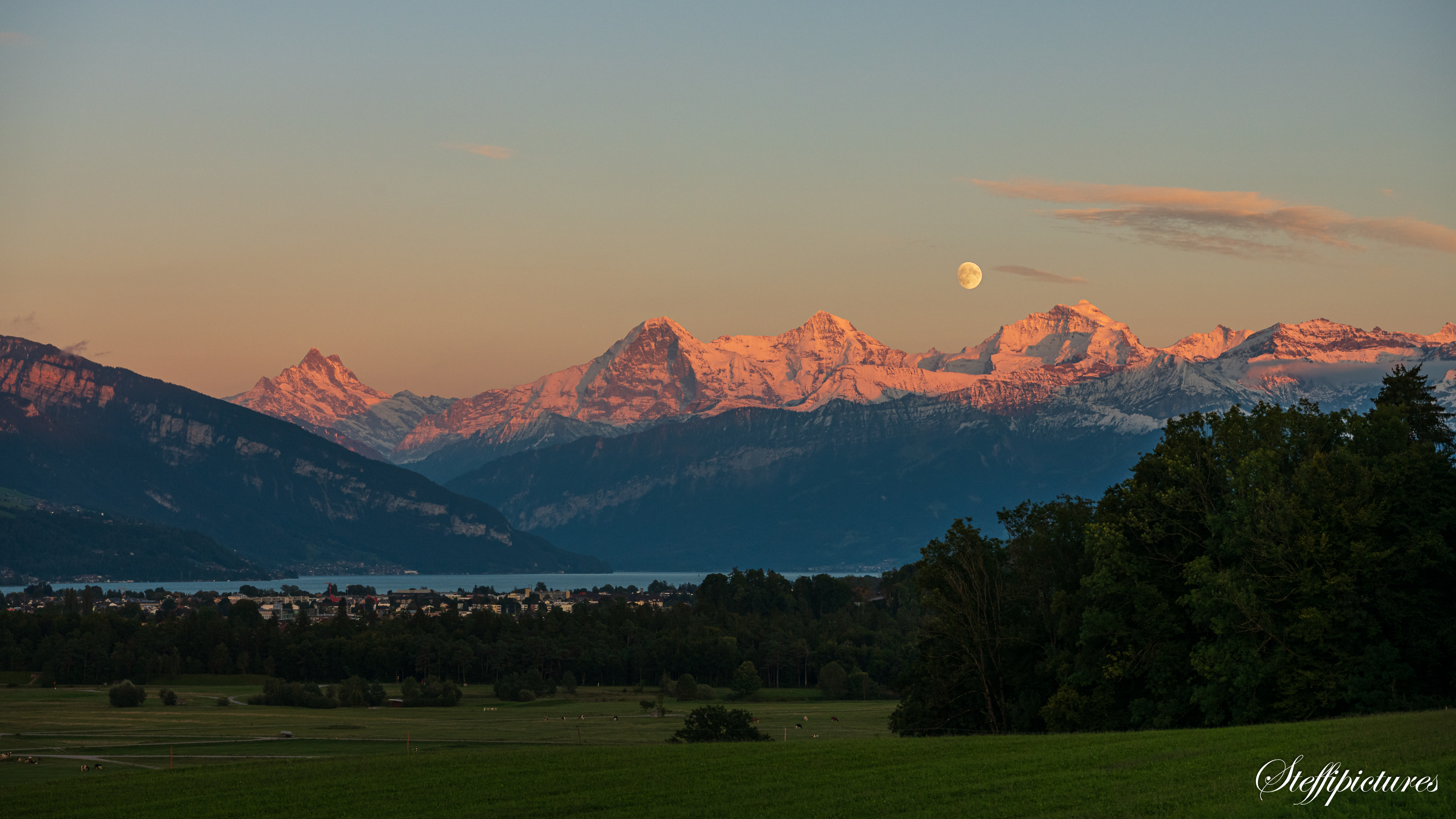 Landscape (8)