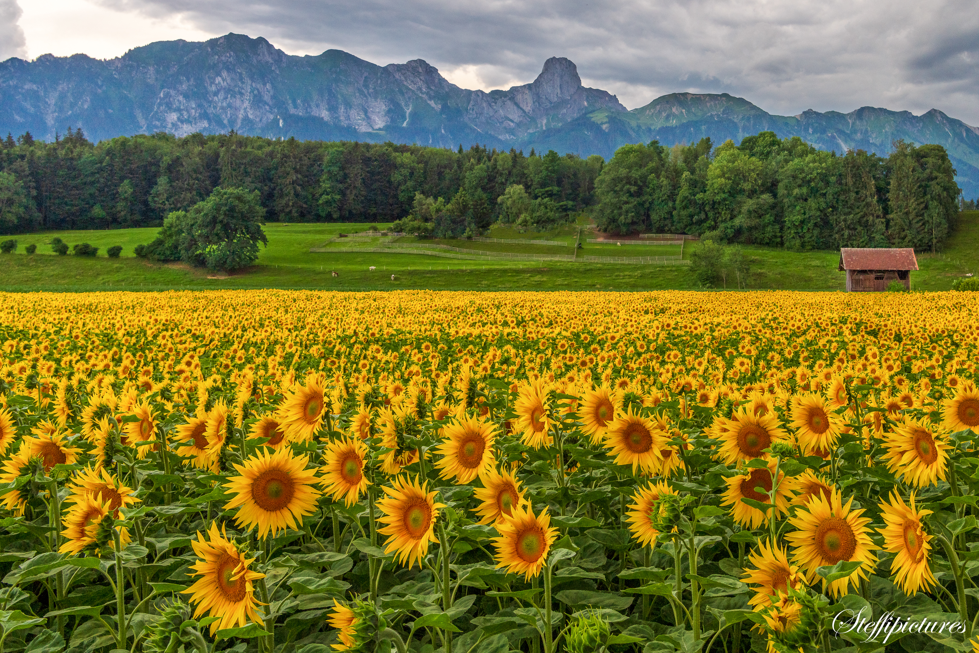 Landschaft (26)