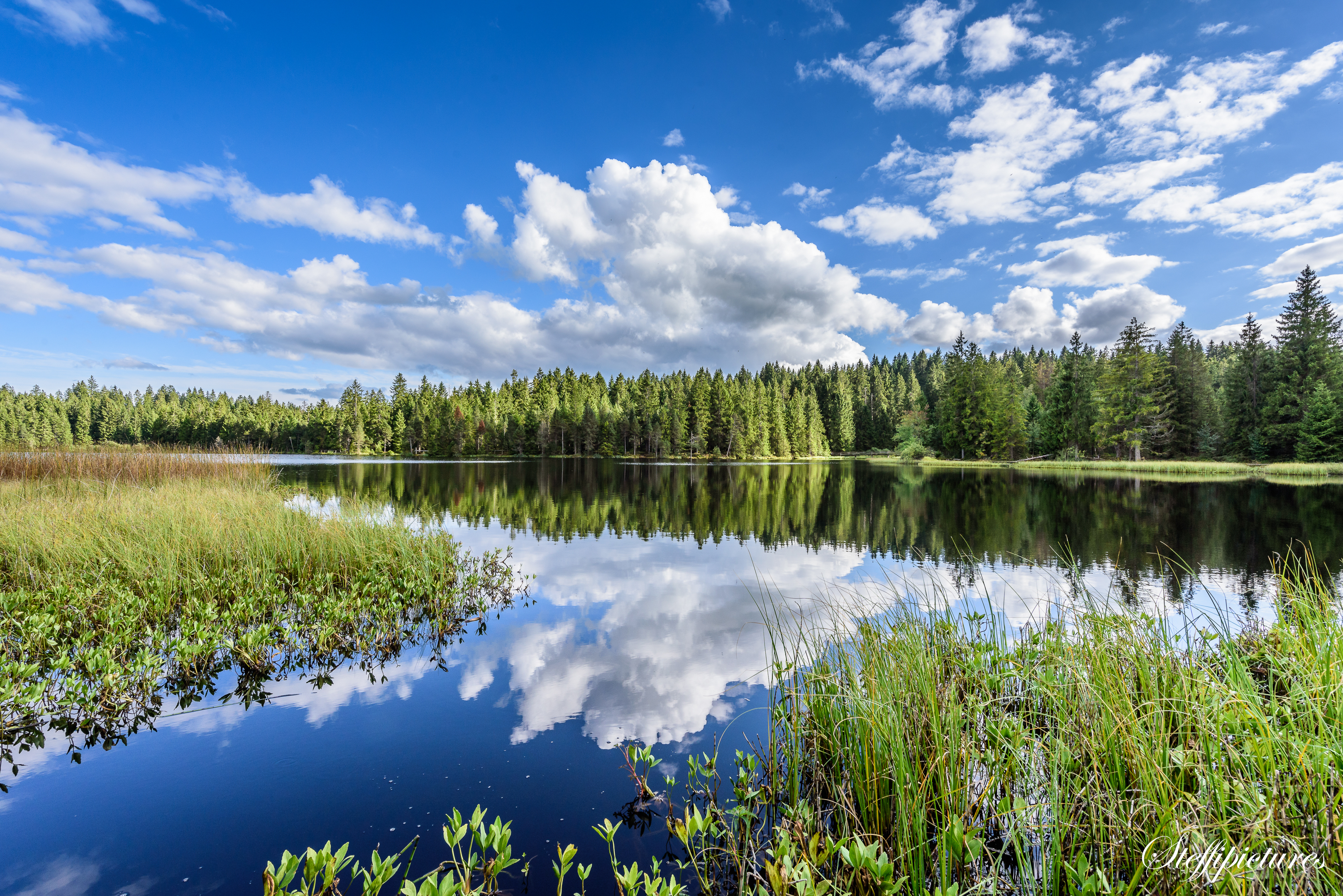 Landschaft (46)