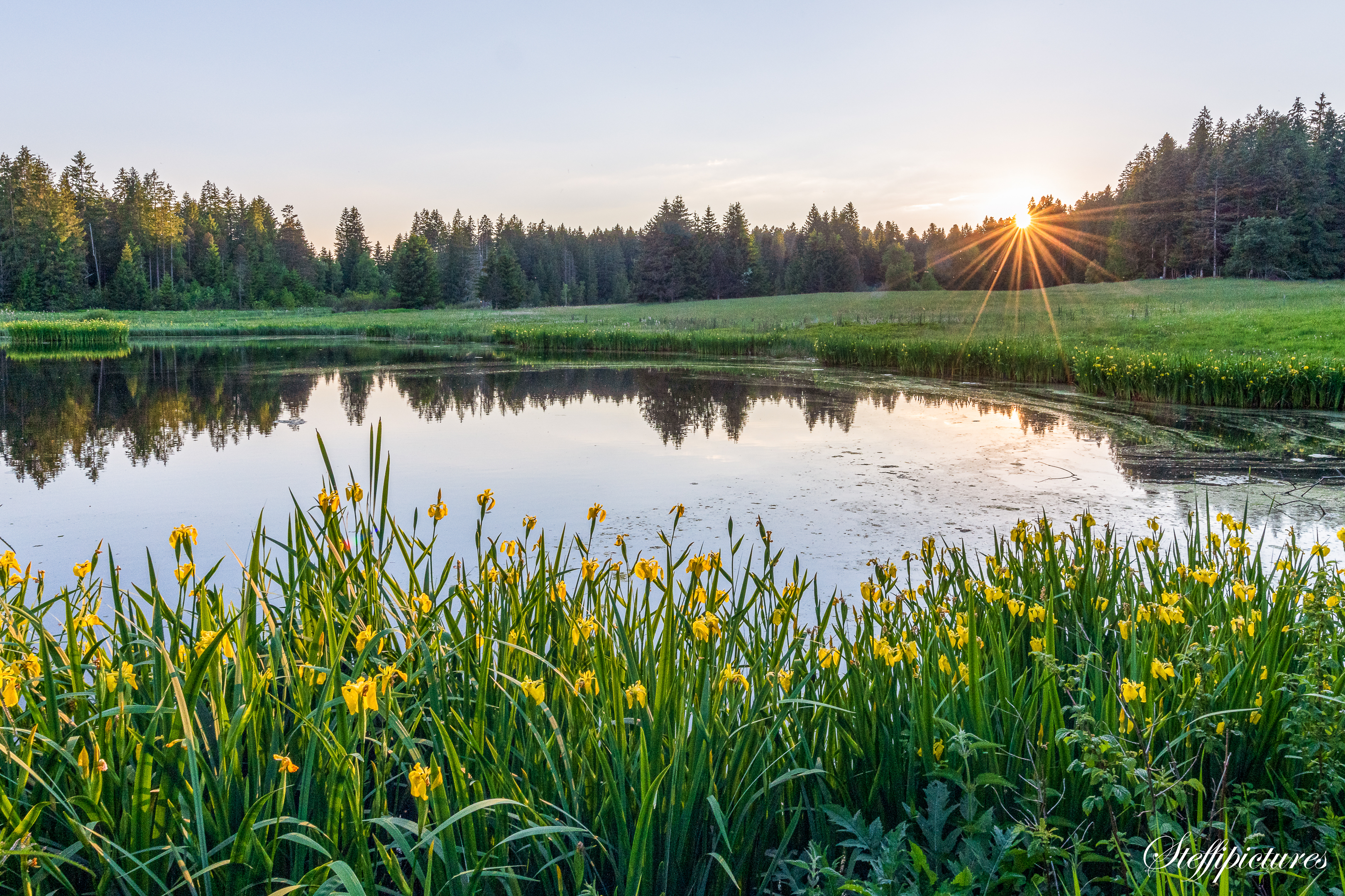 Landschaft (49)