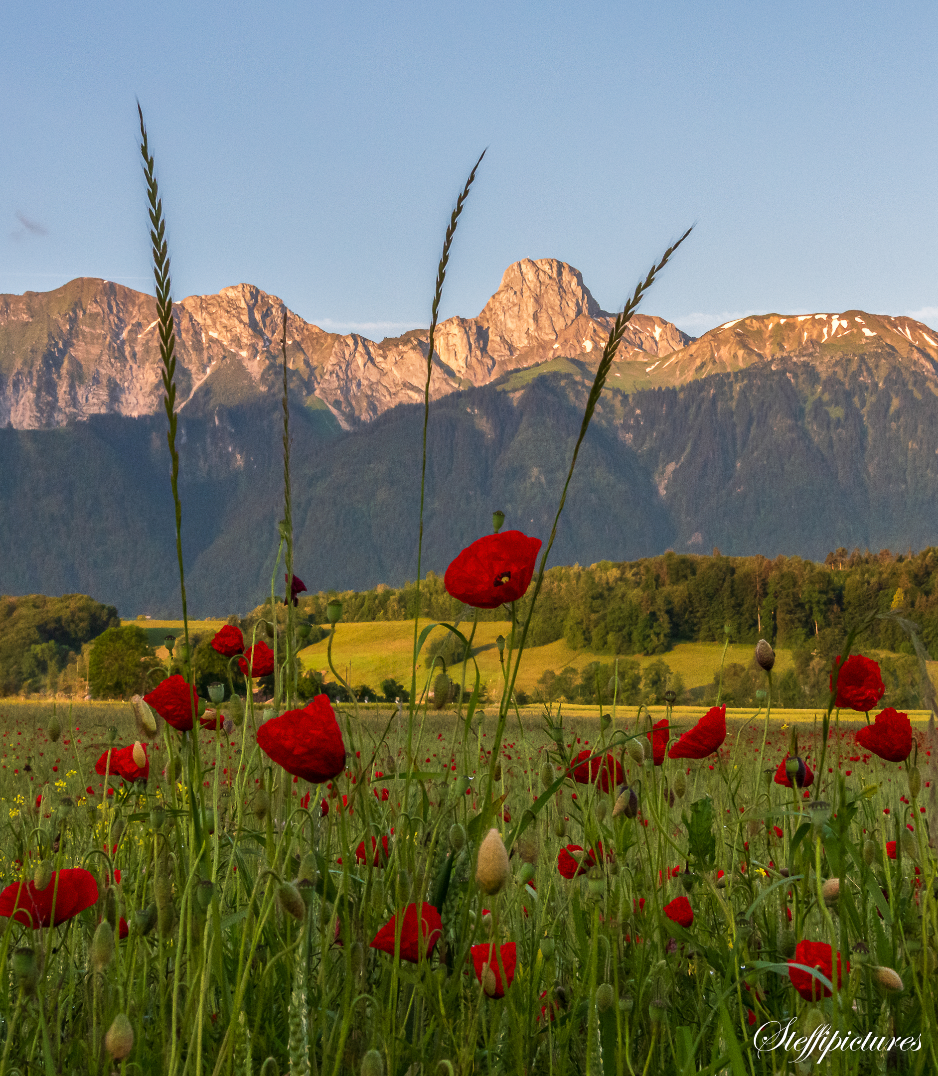 Landschaft (55)