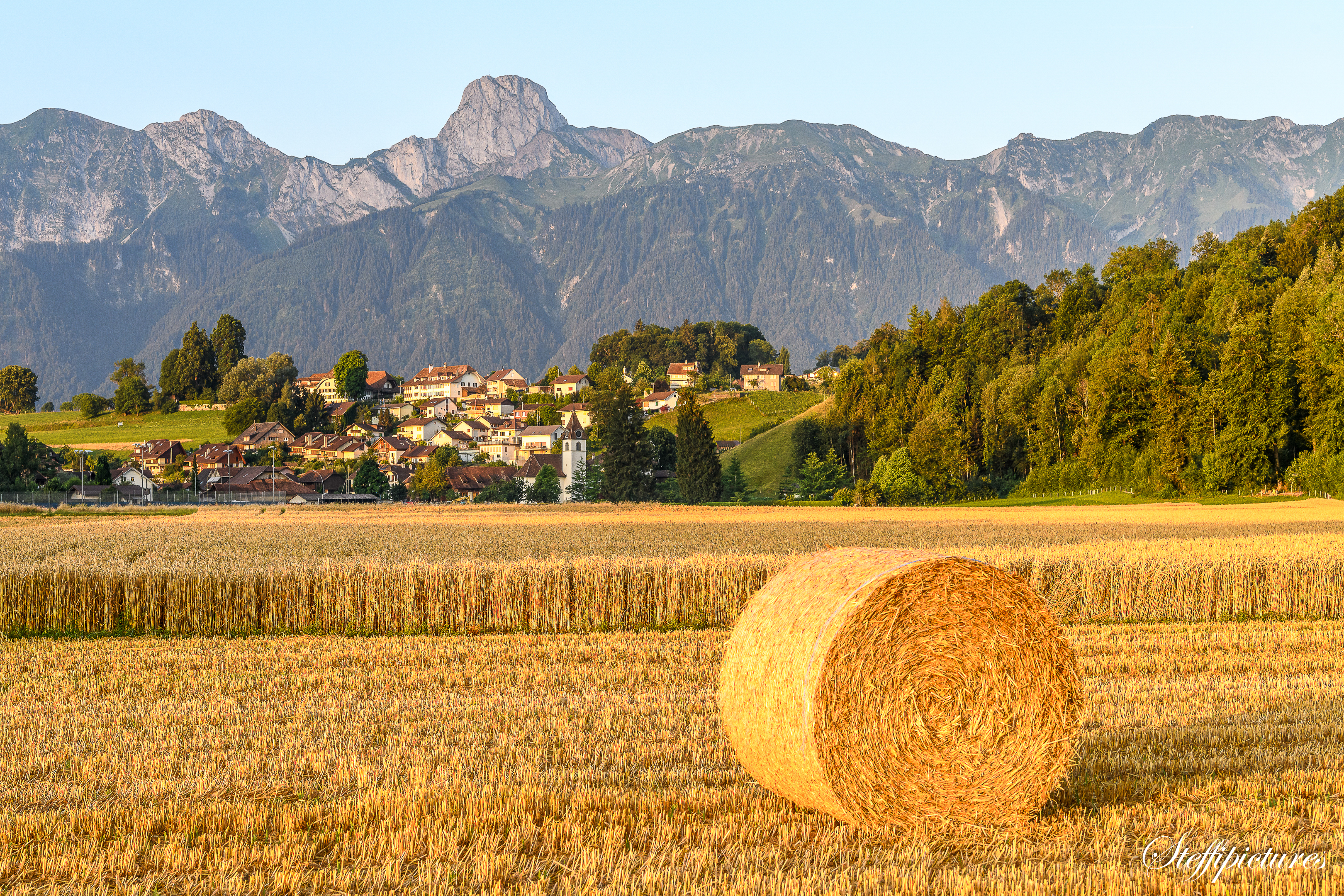 Landschaft (56)