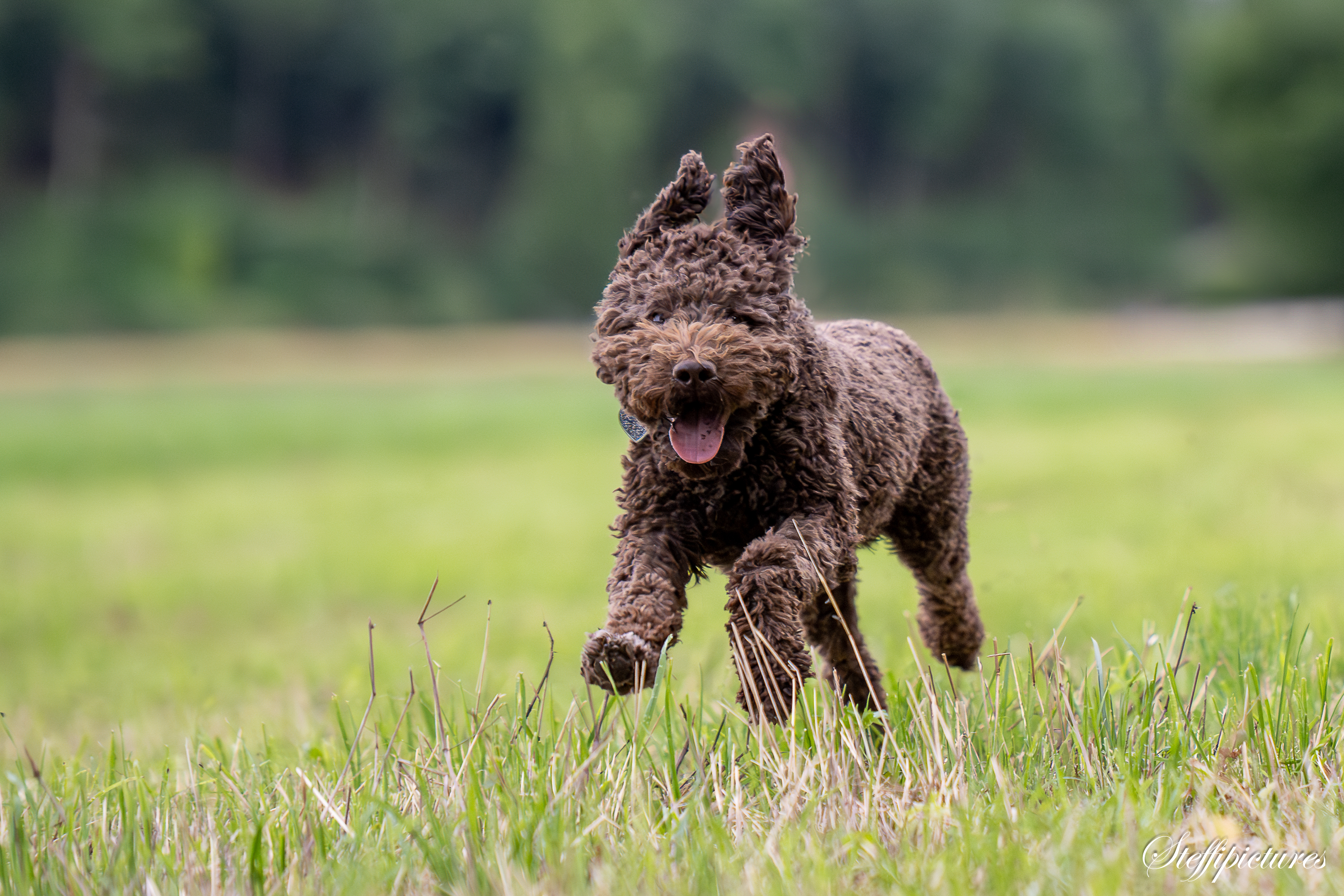 Hamo,Eric und Marlies 2.7 (13)