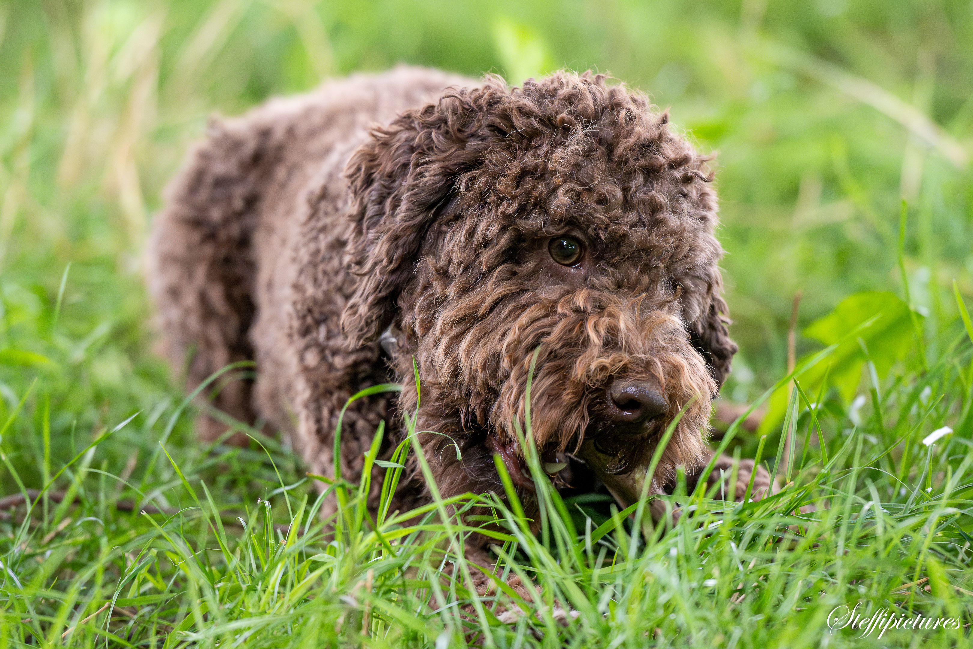 Hamo,Eric und Marlies 2.7 (31)