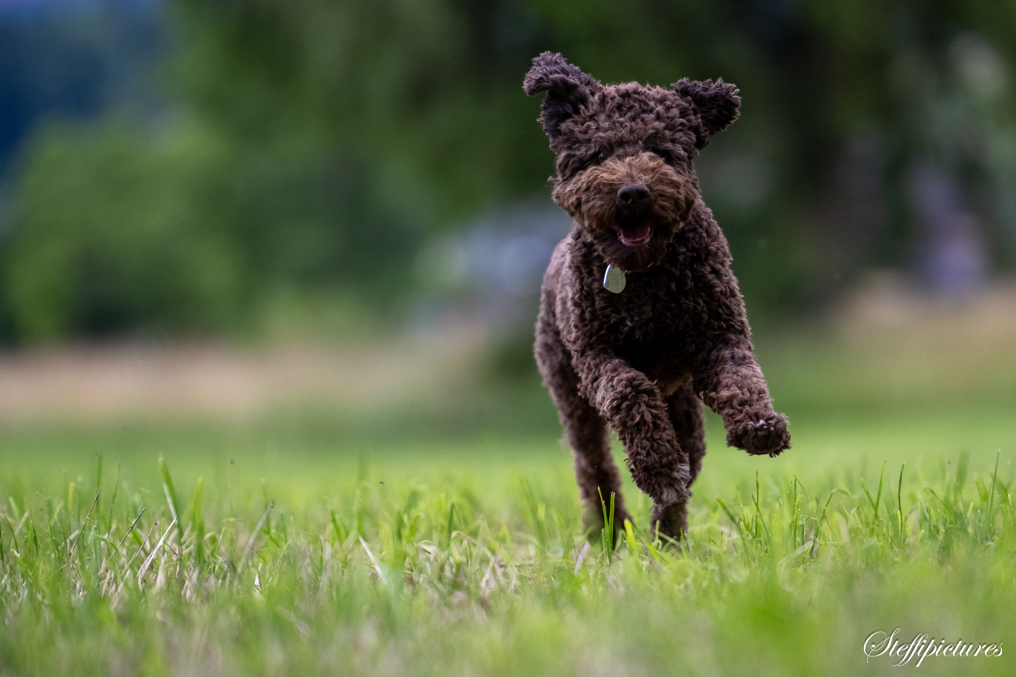 Hamo,Eric und Marlies 2.7 (7)
