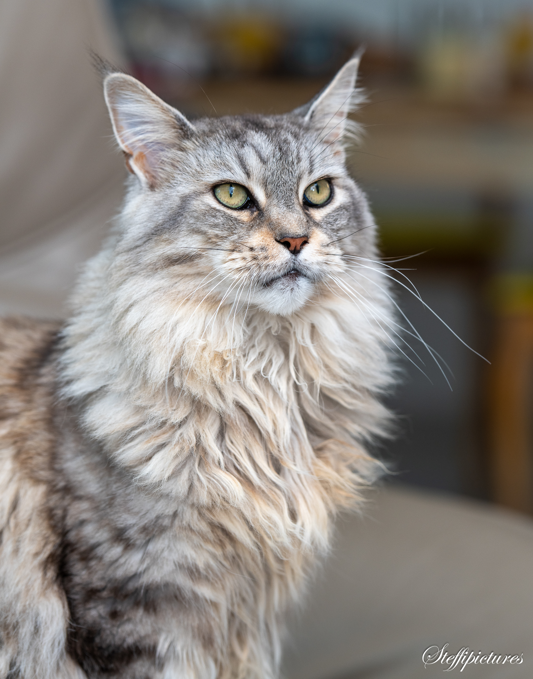 Tiere (32)