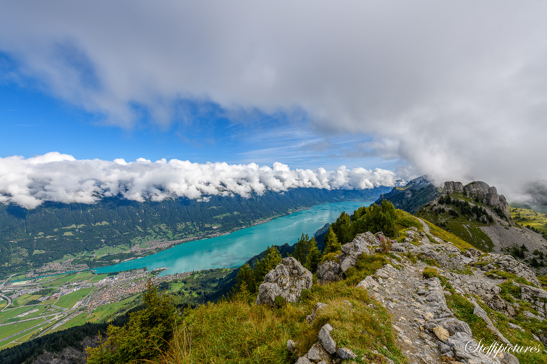 _8505014-Bearbeitet